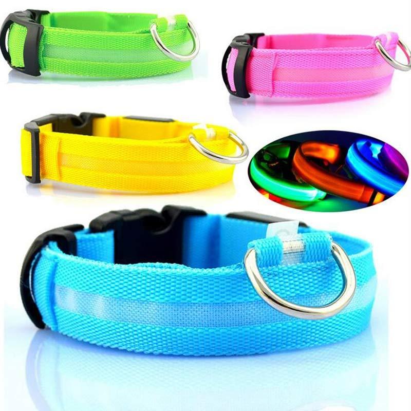 Collier lumineux LED pour chien et chat