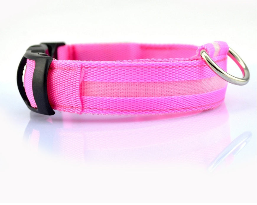 Collier lumineux LED pour chien et chat
