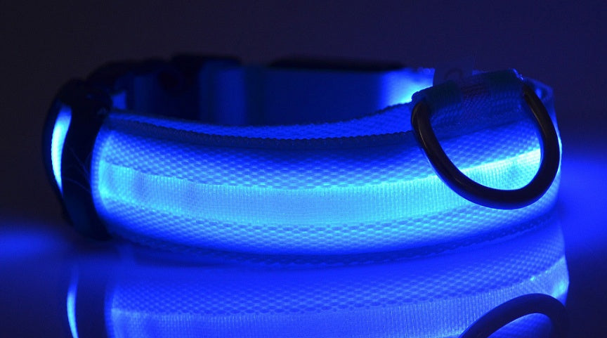 Collier lumineux LED pour chien et chat