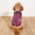 Vêtements pour chien PawAndWalk