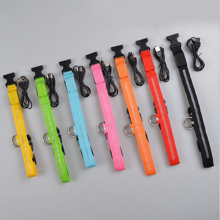 Collier lumineux LED pour chien et chat