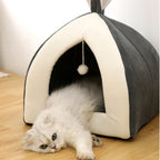 Pet Waterloo PawAndWalk