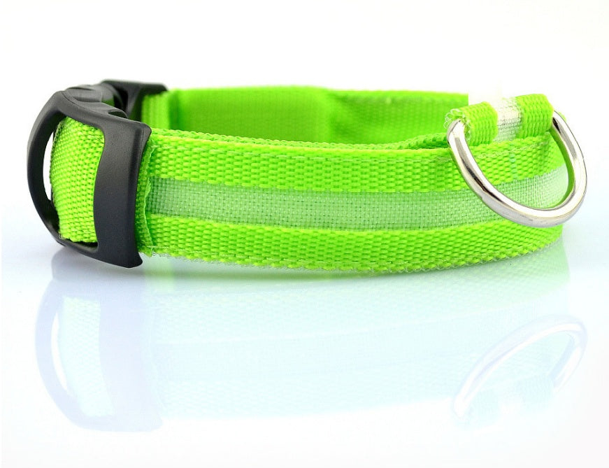 Collier lumineux LED pour chien et chat