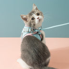 Harnais pour chat PawAndWalk