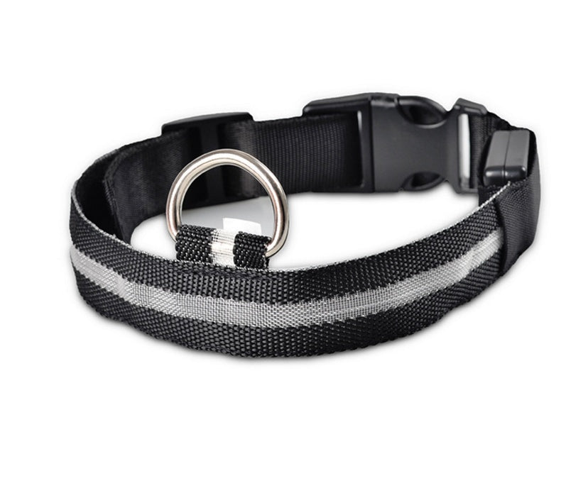 Collier lumineux LED pour chien et chat