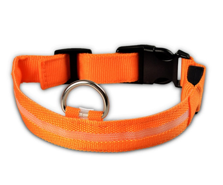 Collier lumineux LED pour chien et chat