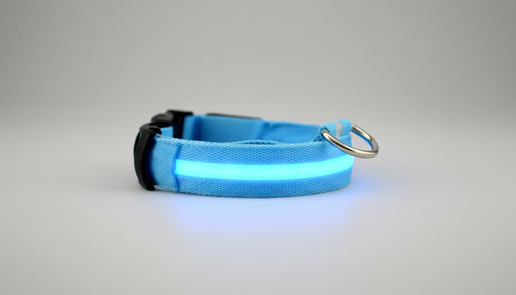 Collier lumineux LED pour chien et chat
