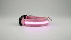 Collier lumineux LED pour chien et chat Wouf & Miaou