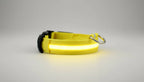 Collier lumineux LED pour chien et chat Wouf & Miaou