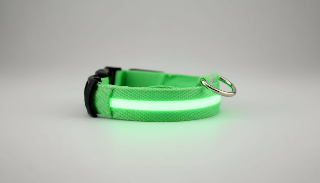 Collier lumineux LED pour chien et chat