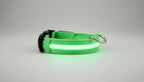 Collier lumineux LED pour chien et chat Wouf & Miaou