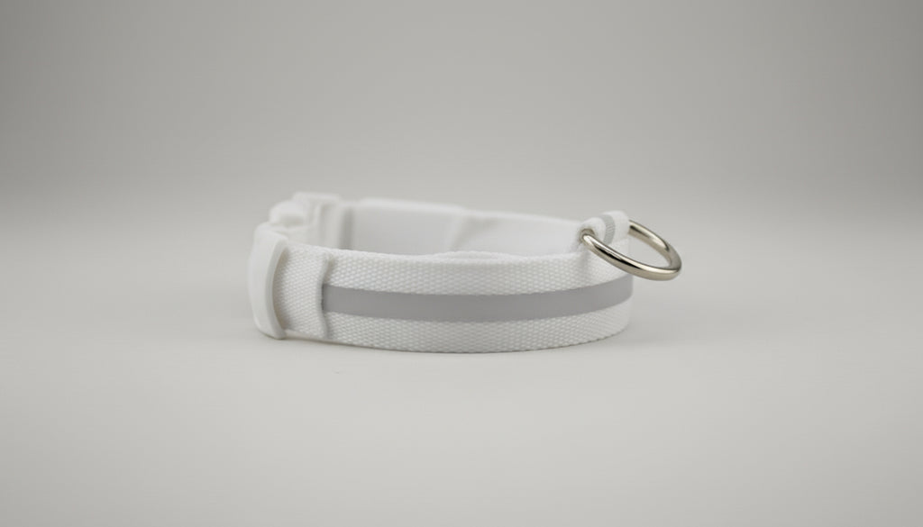 Collier Lumineux LED pour Chien Chat - Sécurité Nocturne Rechargeable