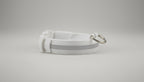 Collier Lumineux LED pour Chien Chat - Sécurité Nocturne Rechargeable