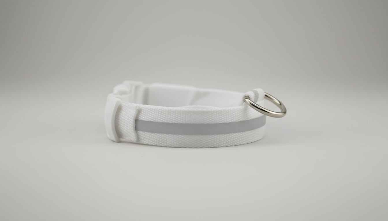 Collier Lumineux LED pour Chien Chat - Sécurité Nocturne Rechargeable