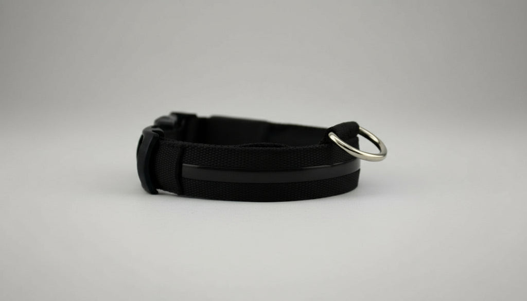 Collier lumineux LED pour chien et chat