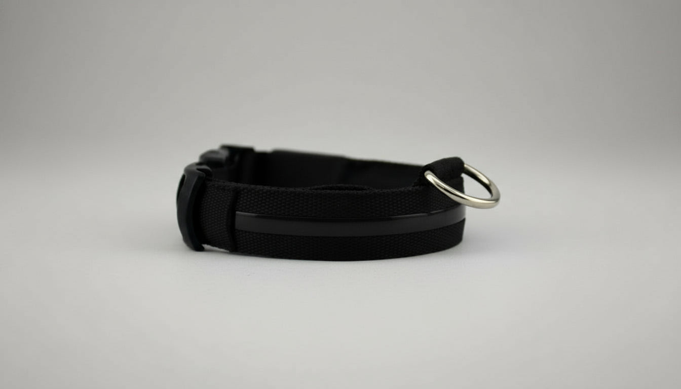 Collier lumineux LED pour chien et chat