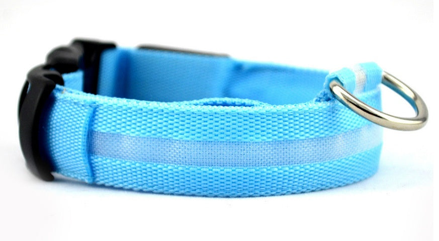 Collier lumineux LED pour chien et chat