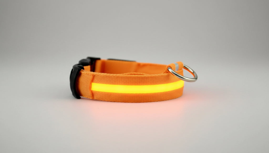 Collier lumineux LED pour chien et chat