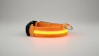 Collier lumineux LED pour chien et chat Wouf & Miaou