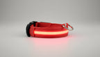 Collier lumineux LED pour chien et chat Wouf & Miaou