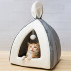 Pet Waterloo PawAndWalk