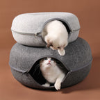 Nid pour chat PawAndWalk