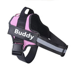 Harnais personnalisé pour chien Printify