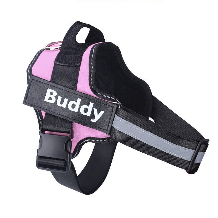 Harnais personnalisé pour chien - Personalized Dog Harness
