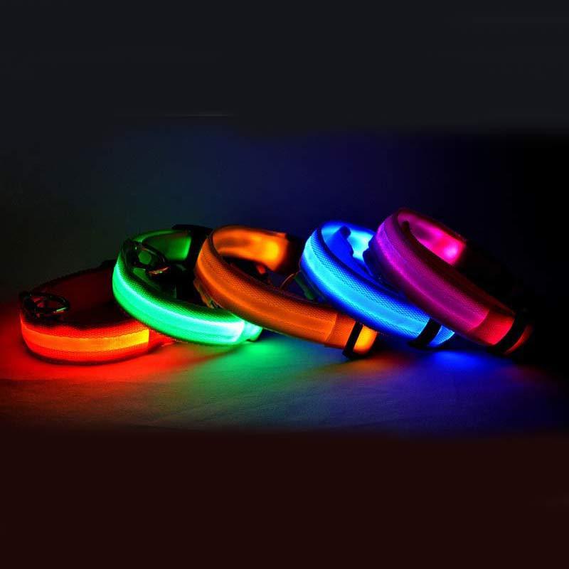 Collier lumineux LED pour chien et chat
