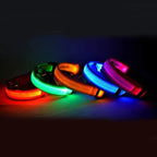 Collier lumineux LED pour chien et chat Wouf & Miaou