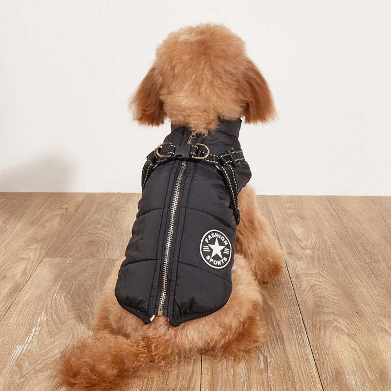 Vêtements pour chien