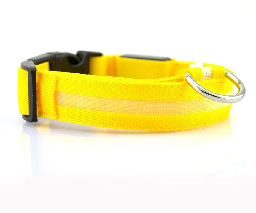 Collier lumineux LED pour chien et chat