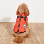 Vêtements pour chien PawAndWalk