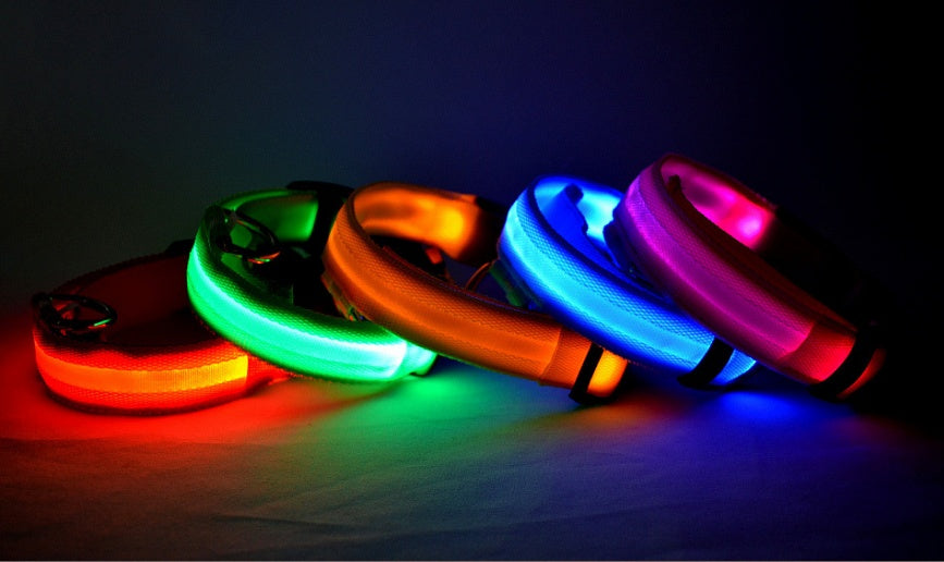 Collier lumineux LED pour chien et chat