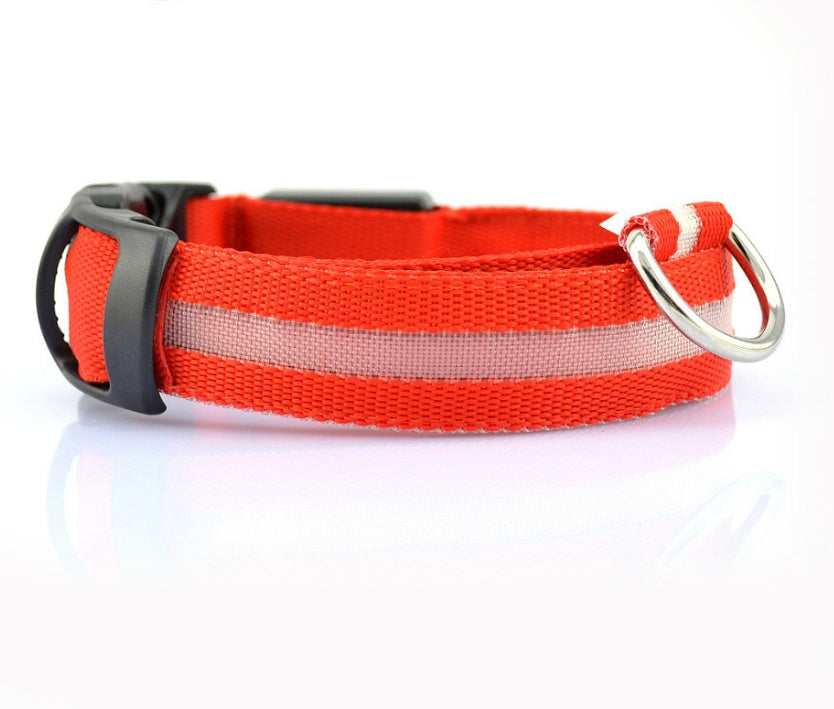 Collier lumineux LED pour chien et chat
