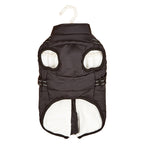 Vêtements pour chien PawAndWalk