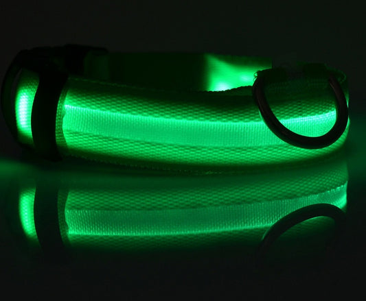Collier lumineux LED pour chien et chat