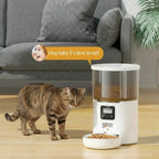Distributeur automatique croquettes PawAndWalk