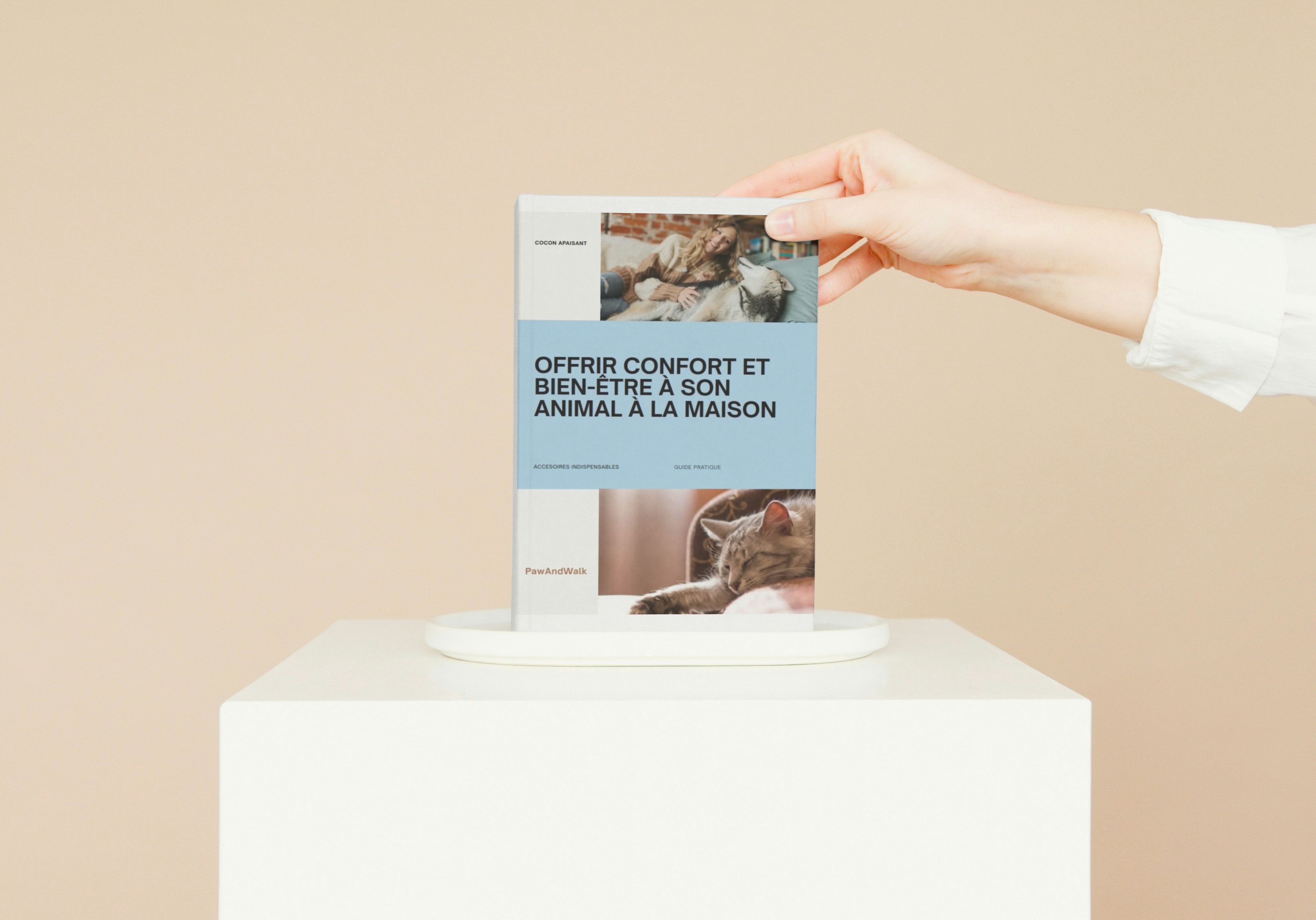 Offrir confort et bien-être à son animal à la maison – Astuces simples pour améliorer son quotidien