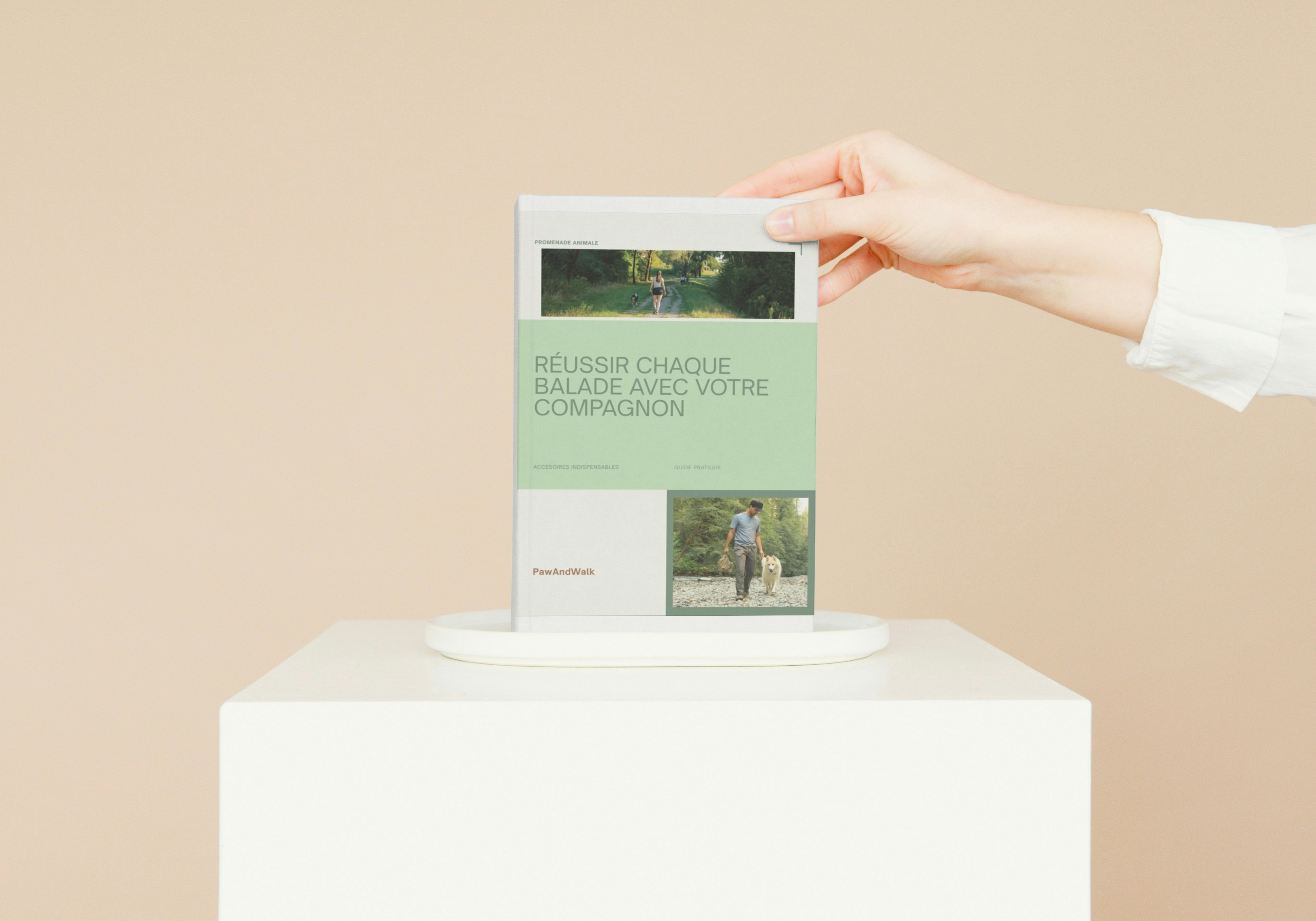 Réussir chaque balade avec votre compagnon – Conseils & astuces pour des sorties sereines