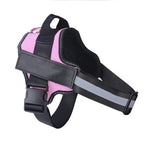 Harnais personnalisé pour chien Printify