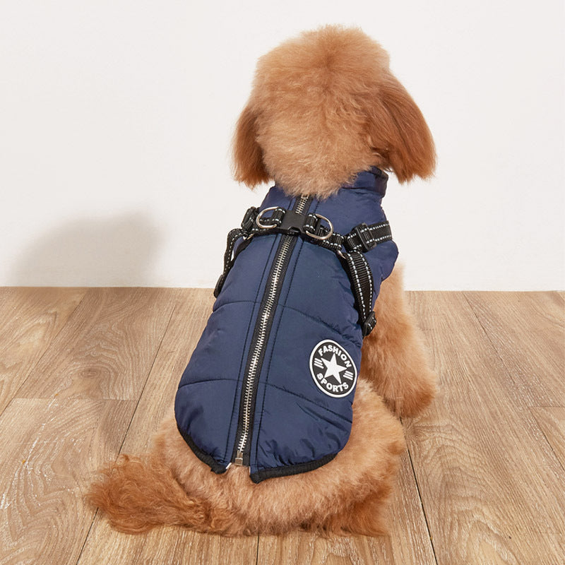 Vêtements pour chien
