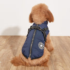 Vêtements pour chien PawAndWalk