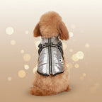 Vêtements pour chien PawAndWalk
