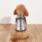 Vêtements pour chien PawAndWalk