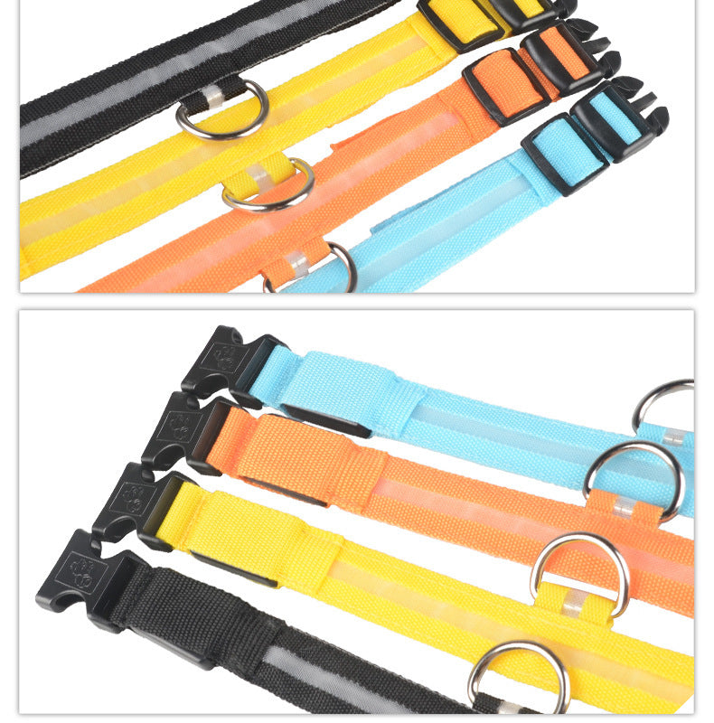Collier lumineux LED pour chien et chat