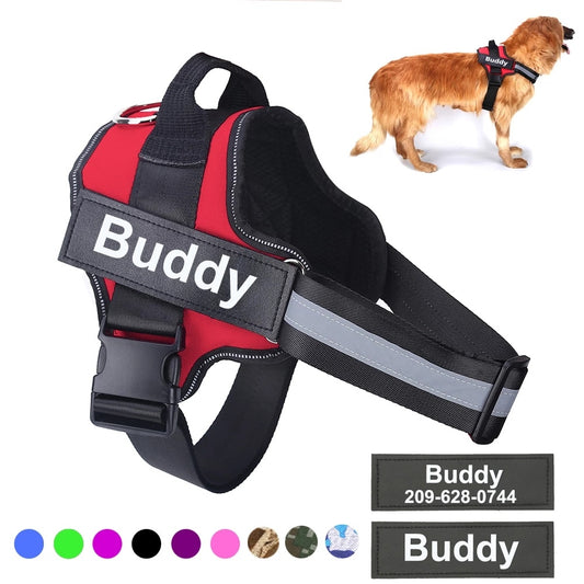 Harnais personnalisé pour chien - Personalized Dog Harness
