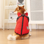 Vêtements pour chien PawAndWalk