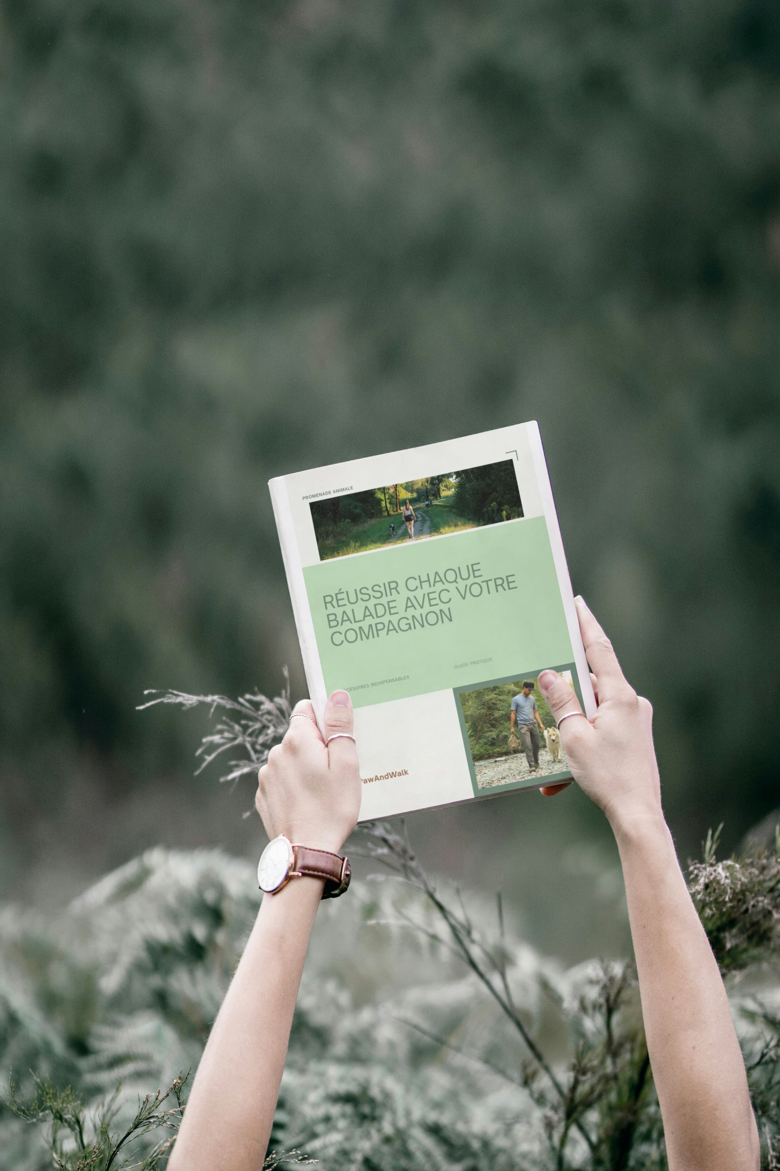 Réussir chaque balade avec votre compagnon – Conseils & astuces pour des sorties sereines