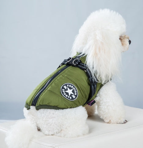 Vêtements pour chien